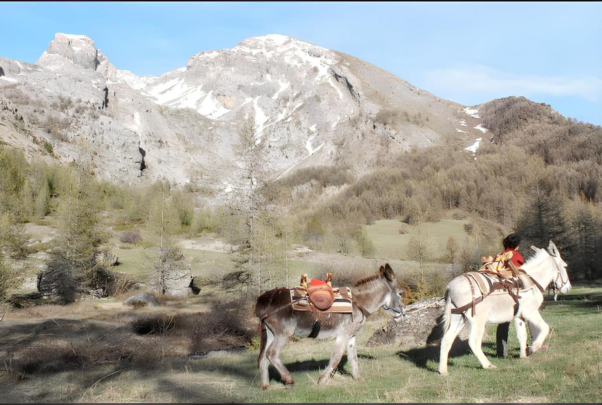 Studio Chaleureux A Uvernet Fours 25M² Avec Vue Montagne Buitenkant foto
